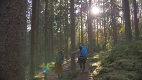 Hombre-En-Un-Bosque-Caminando-Varonil-A-La-Sombra-Y-Las-Sombras-De-Los-árboles-Y-El-Sol-Durante-Mucho-Tiempo