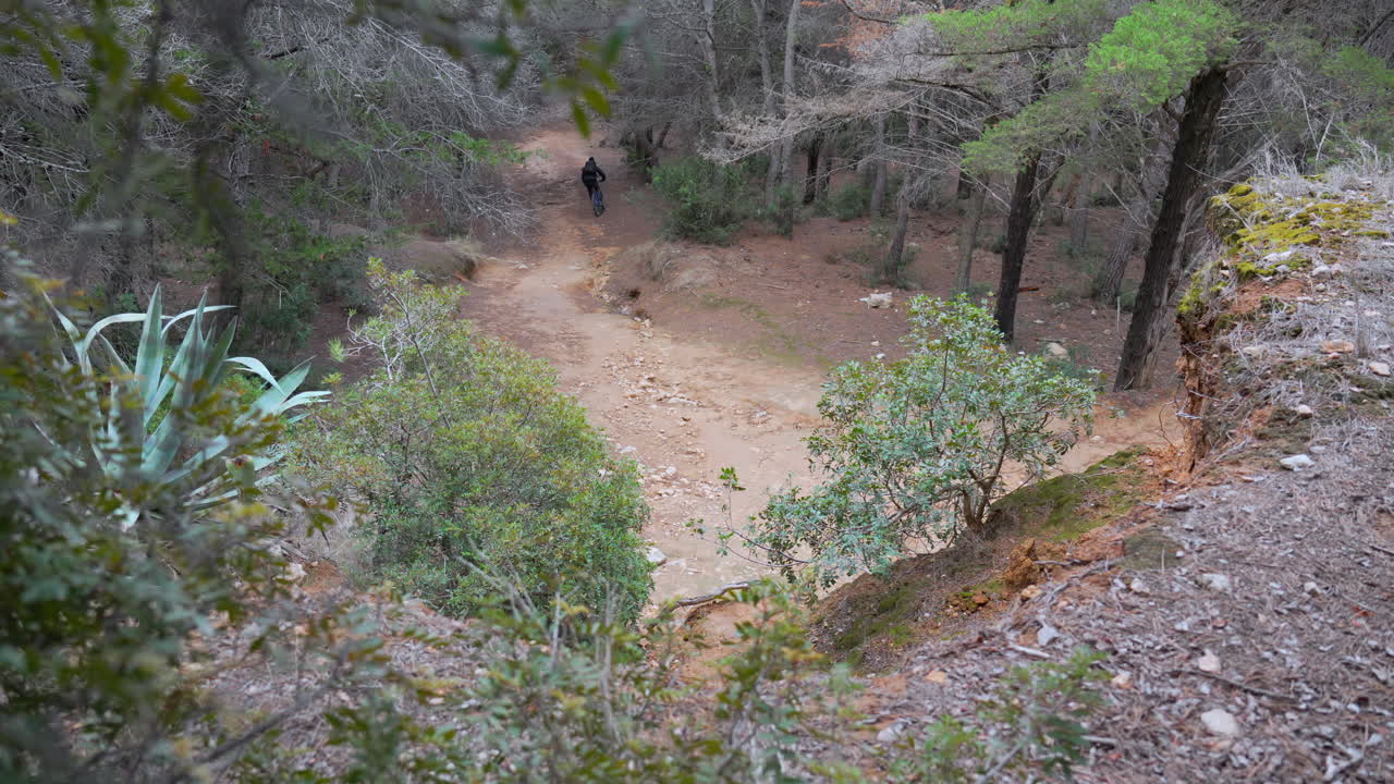 ciclista de montaña navega hábilmente por una curva pronunciada en una pista de tierra escarpada que serpentea a través de un denso bosque