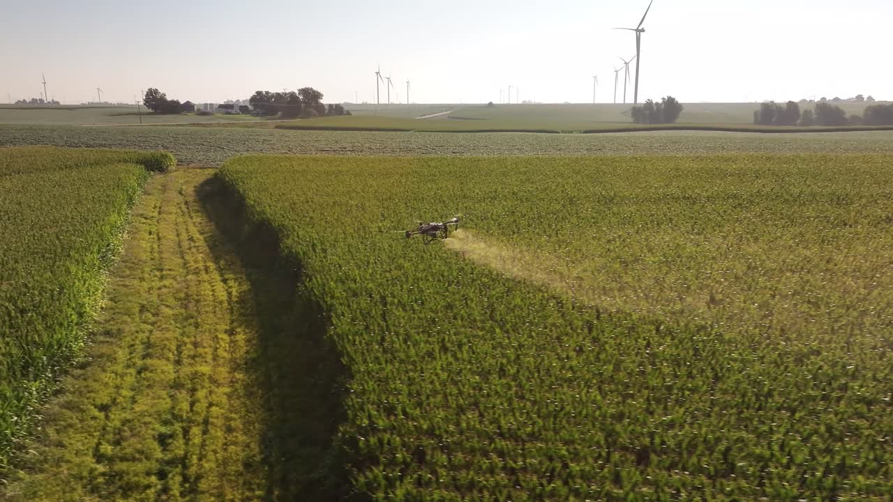 drones agrícolas rociando productos químicos en un campo de maíz en iowa en el verano