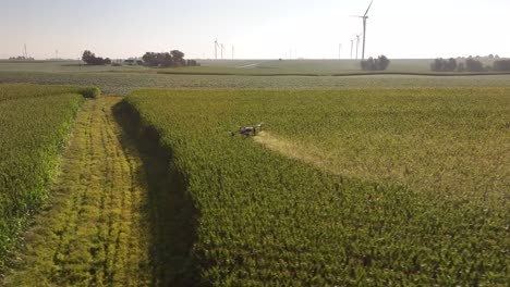 Drones-Agrícolas-Rociando-Productos-Químicos-En-Un-Campo-De-Maíz-En-Iowa-En-El-Verano