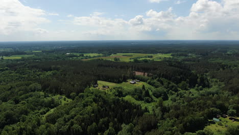 forestry landscape of lithuania as far as eyes can see, high angle drone view