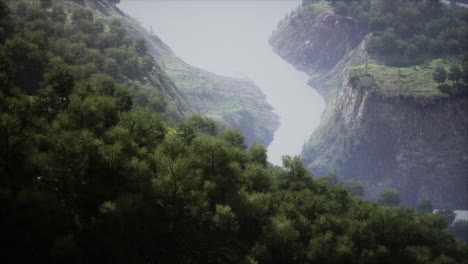 an aerial view of tropical rainforest in the morning misty