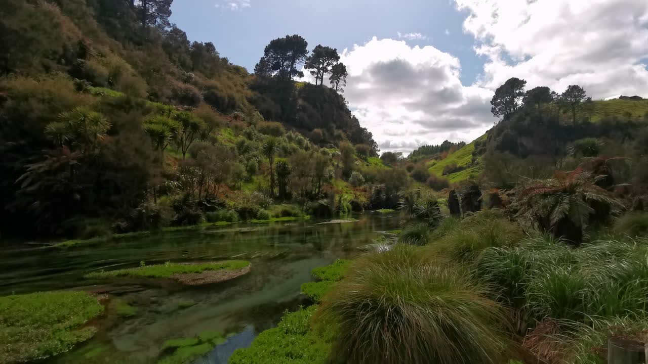 colinas verdes y exuberantes cubiertas por la flora típica de nueva zelanda y un río cristalino que fluye en el medio
