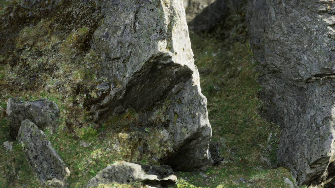 Discovering hidden textures of nature in a rocky landscape with lush greenery