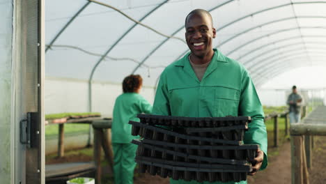 agriculture, farmer and portrait in greenhouse