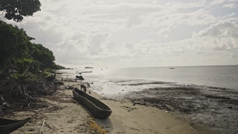 Playa-Sucia-Con-Piragua-De-Madera-Y-Perros.