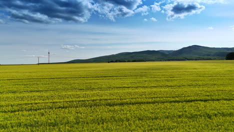 vibrant green fields under blue sky. vast green fields stretch across the land beneath a bright blue sky adorned with fluffy clouds during daylight