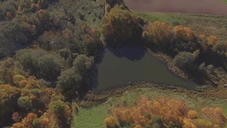 Water-Pond-Among-Colored-Trees-On-A-Sunny-Autumn-Day