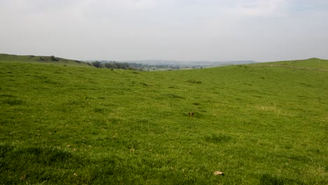 looking north over throwley moors