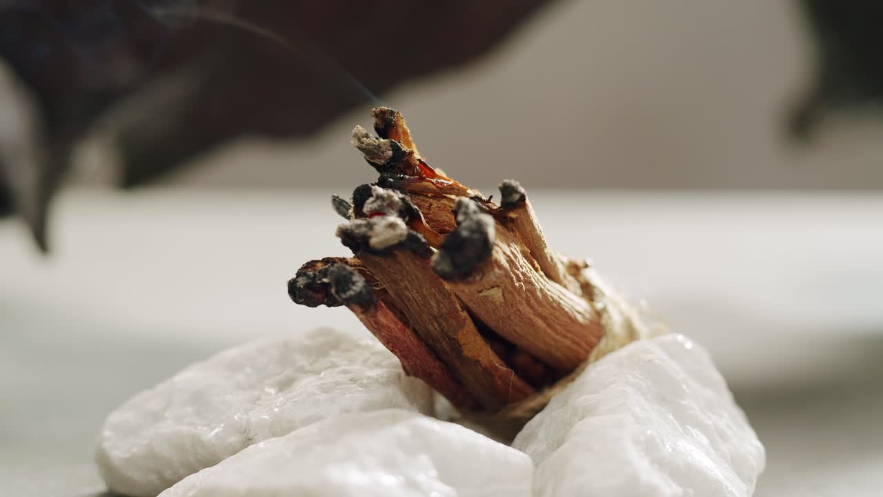 Person holding Palo Santo wood stick in hand, aromatic Palo Santo burning on black background, smoke spreading around, slow motion video clip, high quality 4k close up footage. High quality 4k footage