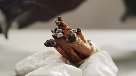 person holding palo santo wood stick in hand, aromatic palo santo burning on black background, smoke spreading around, slow motion video clip, high quality 4k close up footage. high quality 4k footage