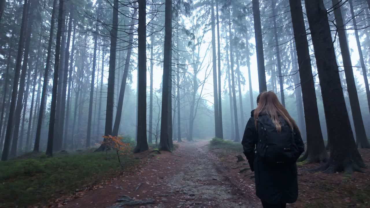 A girl with a backpack walks through a mysterious forest shrouded in fog on a cold morning. Contemplating alone in nature