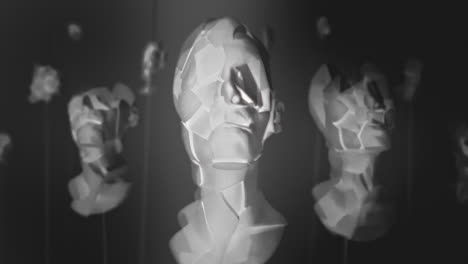 broken mannequin head shells in xray