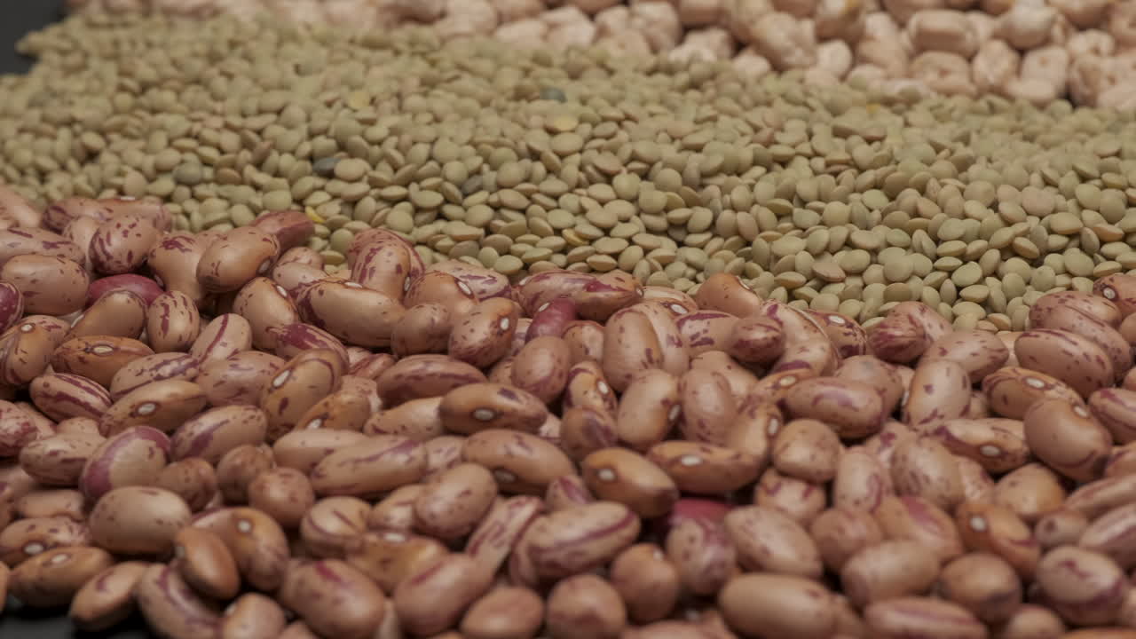 마른 콩류 회전