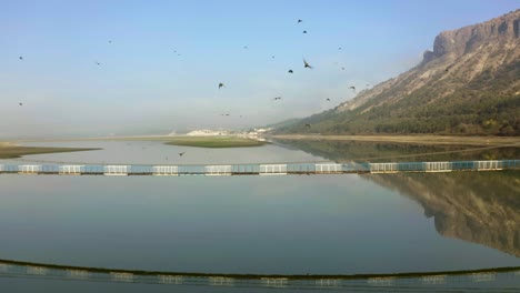 Aerial-backwards-shot-of-many-birds-over-Studen-Kladenets-Reservoir-with-bridge-during-sunny-day-in-Bulgaria