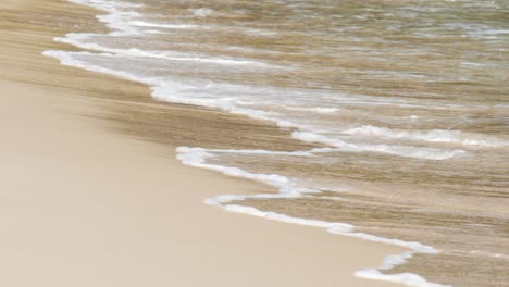 soft ocean wave on sandy beach at sunset