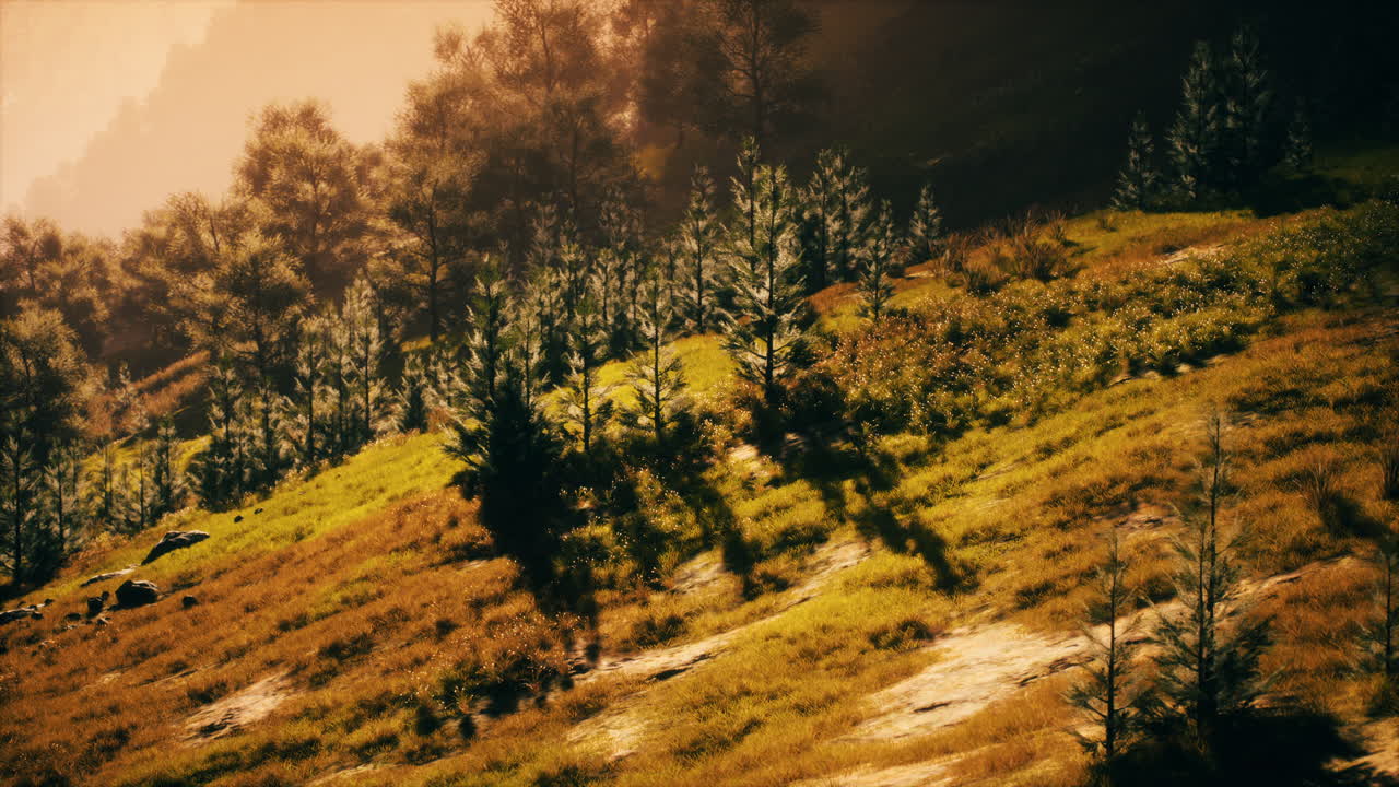 bosque de otoño en colinas rocosas verdes