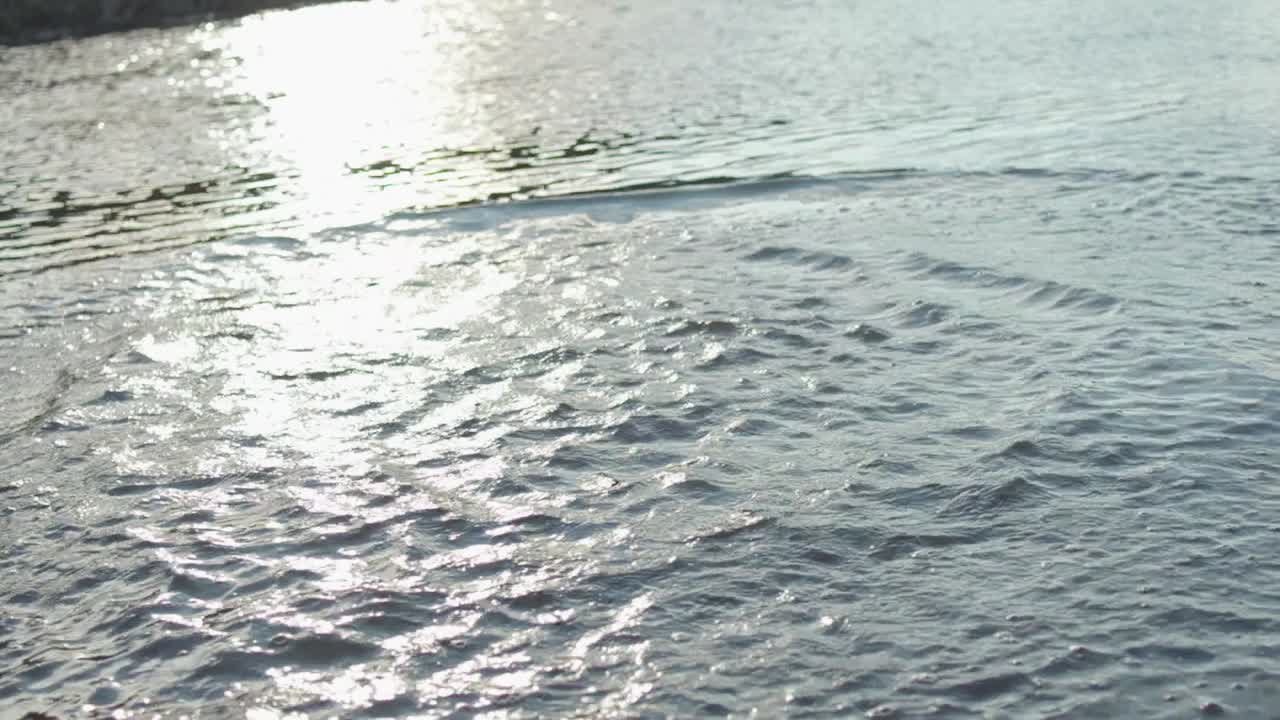 물 표면은 파동과 반사와 함께