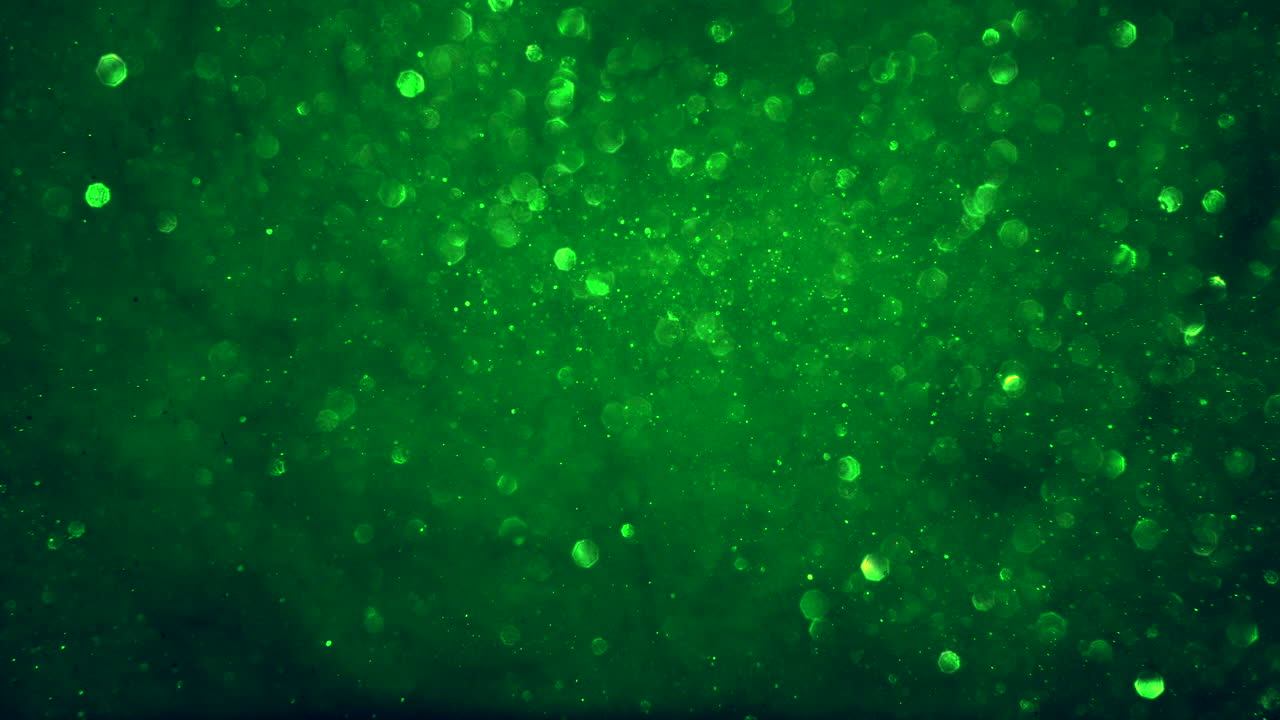 Abstrakt levende grøn glitrende partikelbaggrund med skinnende bokeh-lys LOOP