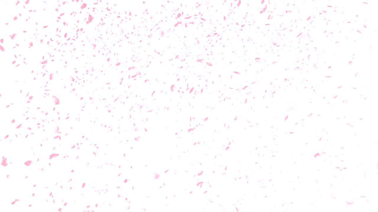 체리 꽃, 분홍색 꽃, 봄 시즌 배경