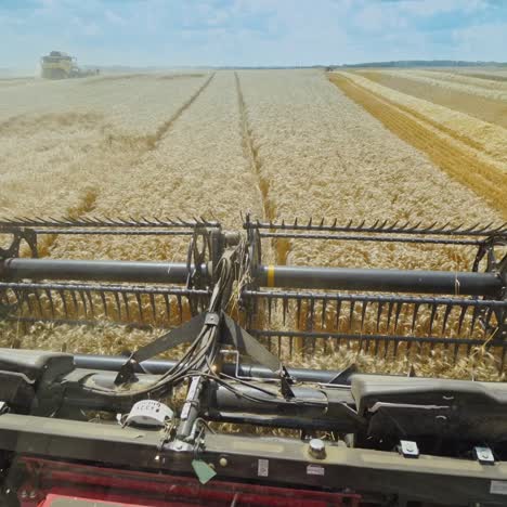 metal detail of combine harvester at work. agricultural machine cutting wheat ears on the yellow field. seasonal works.