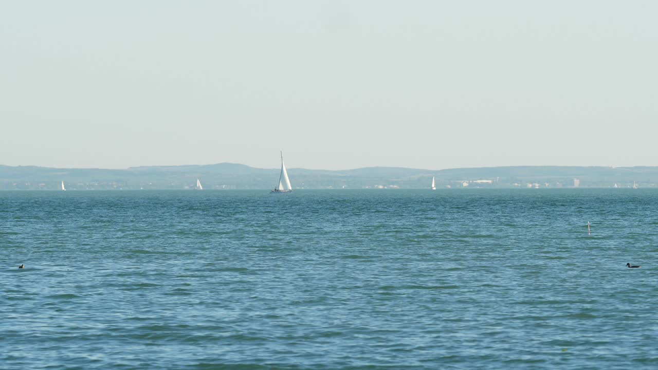 Sailboats Sailing At Open Water, Peaceful Environment, Balaton Lake