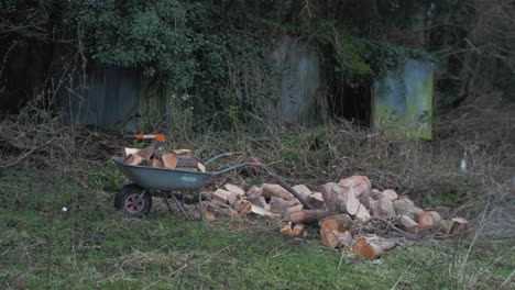 Pile-of-cut-logs-and-wheelbarrow-in-nature-4K