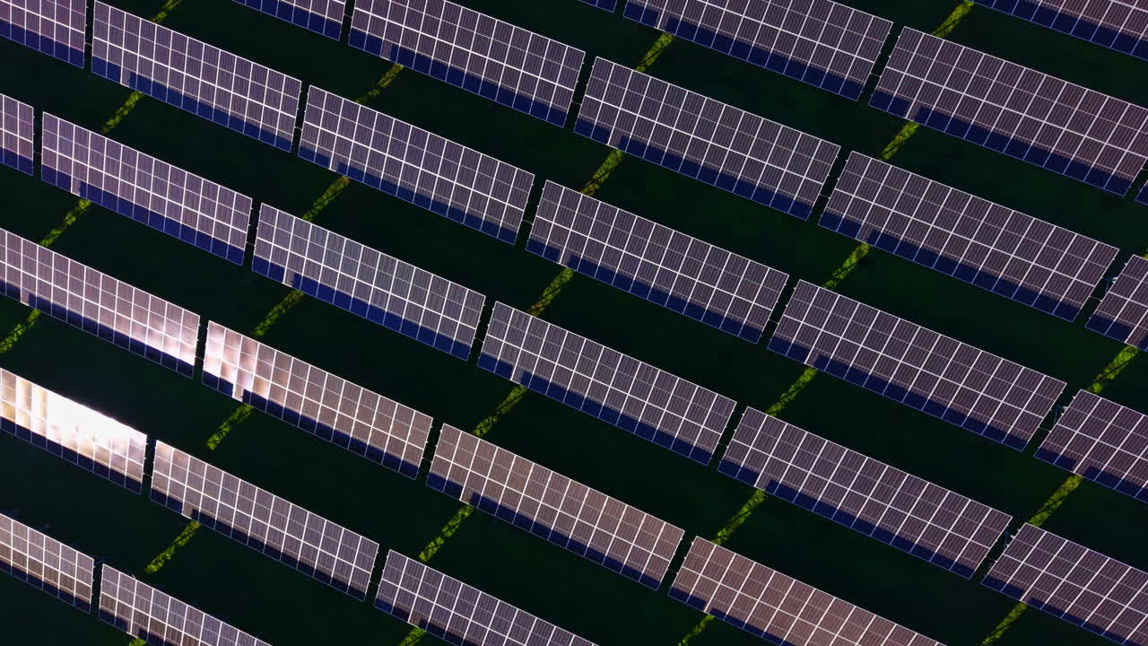File di pannelli solari scintillanti immersi nella luce del sole in un luminoso pomeriggio in un campo di energia verde.