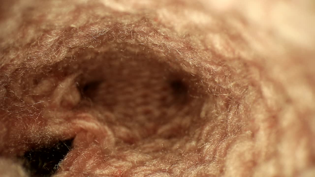 많은 섬유가 보이고 일부는 렌즈 중앙을 통과하는 수제 분홍색 양말을 꺼냅니다.