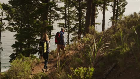 pareja de ancianos activos haciendo senderismo en el bosque