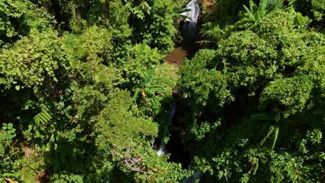 Two-waterfalls-adjutant-to-each-other-flowing-through-a-densely-vegetated-forest