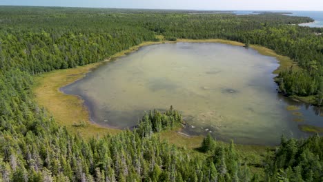 orbita aérea revela un pequeño lago junto al lago huron wilderness, michigan