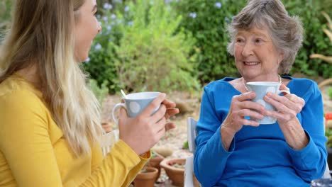 Senior-woman-and-young-girl-having-coffee-in-homeyard-4k
