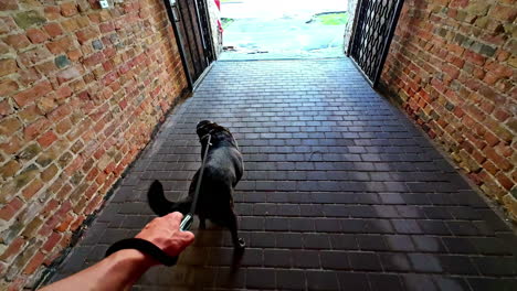 Person-view-of-a-man-walking-the-dog-in-a-bystreet-at-daylight