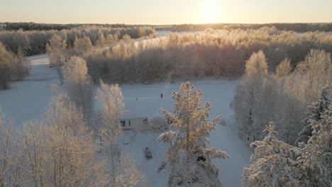 idyllic nordic house behind snowy treetops in winter forest, cold sunshine