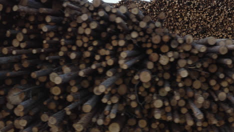 4k close-up drone shot of trunks of logs in stock in a forest timber factory in sweden.