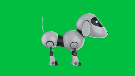 dog robot on green screen