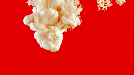 white ink in water shooting with high speed camera. paint dropped, reacting, creating abstract cloud formations and metamorphosis on red. art backgrounds. slow motion. 4k