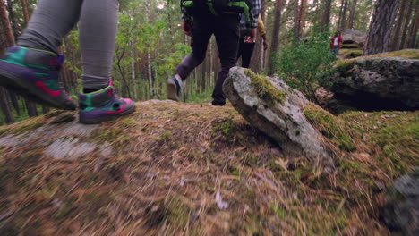excursionistas en un bosque