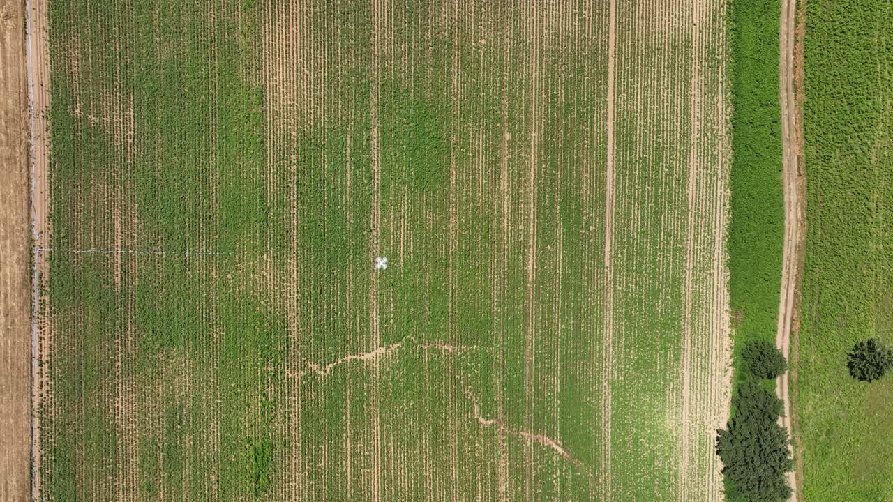 Top view of an agricultural drone performing crop monitoring with multispectral sensors.
