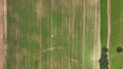 top view of an agricultural drone performing crop monitoring with multispectral sensors.