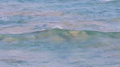 ocean waves moving rhythmically in melbourne, australia