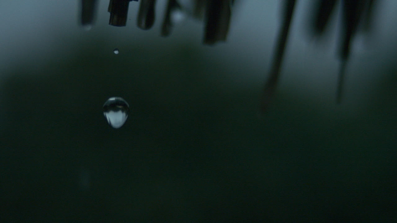 Moody slow motion rain falls from palm leaves, shimmering against dark tones