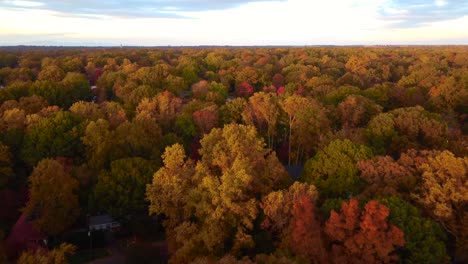 Colores-De-Otoño-Aéreos-Sobre-El-Vecindario-En-Winston-Salem-Nc