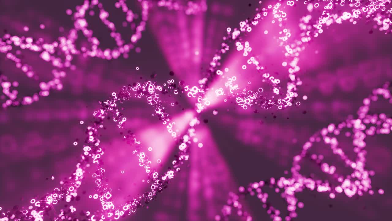 3D animation of pink colored DNA helix moving in loop