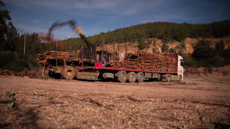timelapse de movimiento de troncos de árboles que se cargan en un camión
