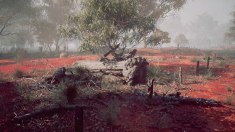 bosque de niebla con tronco caído