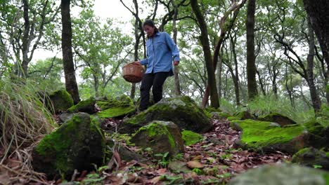 mujer con cesta caminando a través de piedras en el bosque
