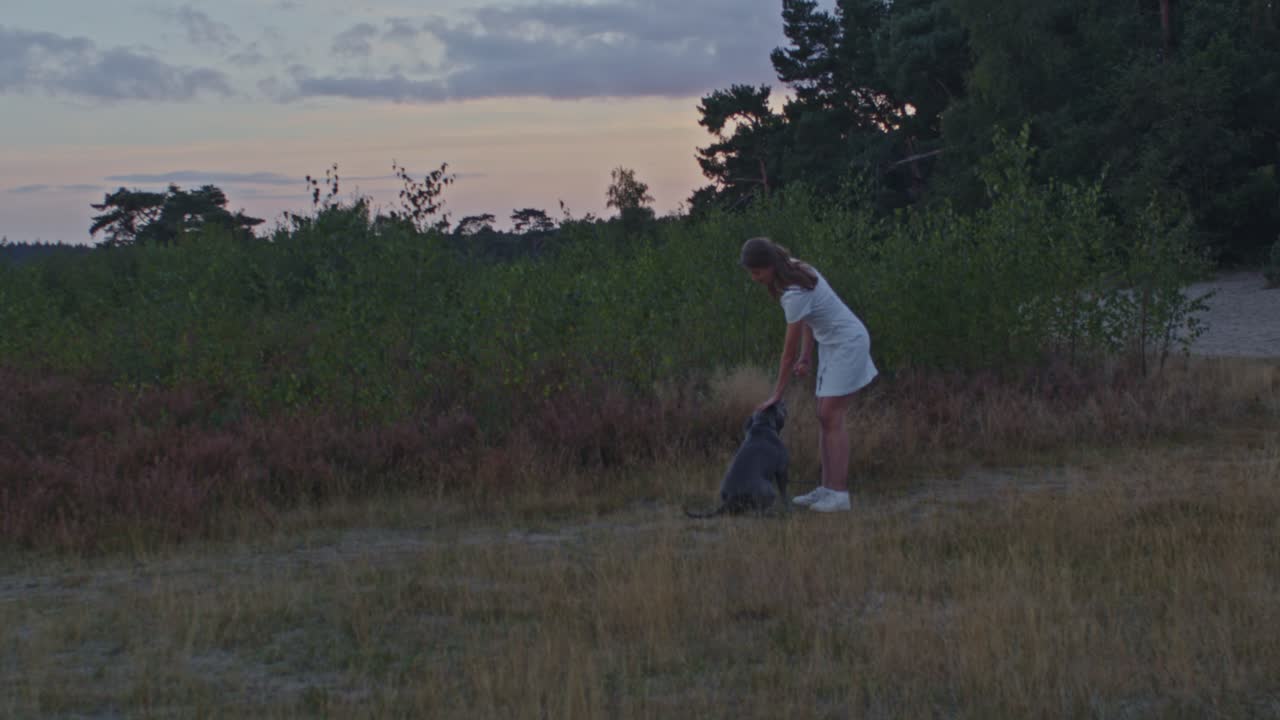 amplia vista de la mujer joven de pie en el campo de brezo acariciando a su pitbull