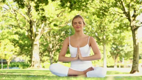 Calm-blonde-doing-yoga-in-the-park